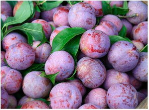 碱水浸泡清洗法