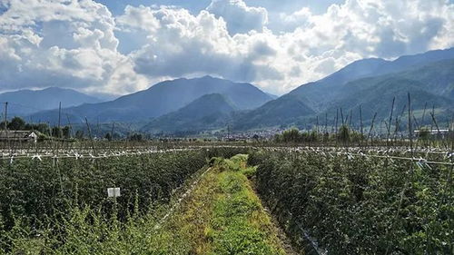 邯郸西部丘陵的神秘面纱