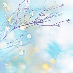 春日里 花儿们的热闹盛宴