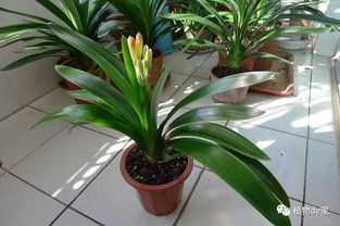 三、 阳光和通风