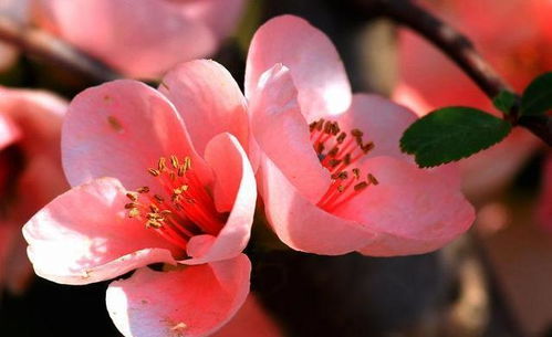 光照：太阳公公来帮忙