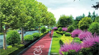 道路绿化工程中常用的高大树木和矮小地被