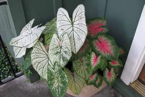 选择合适的位置