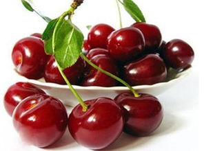 真实案例：李姐用奶茶杯种出8棵樱桃苗