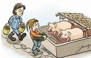 哪些人不宜养猪，盲目进入会遭遇哪些损失？