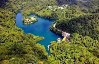 肇庆鼎湖山的示范林采用新工艺：