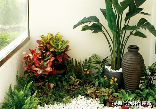 昙花修枝：如何巧妙拆分