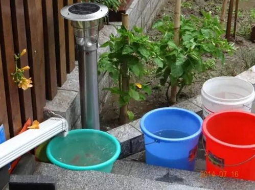 自来水浇花的争议