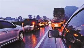 高速公路的绿色守护者：那些既抗尾气又耐旱的花儿们