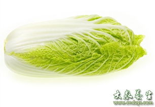 韭菜：四季常青的绿色精灵