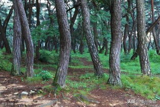 土壤的贫瘠也有讲究