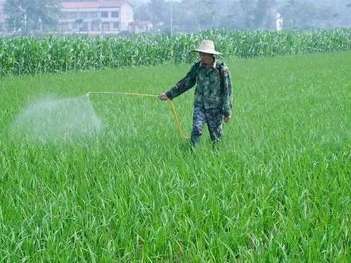 除草剂用多了会怎么样