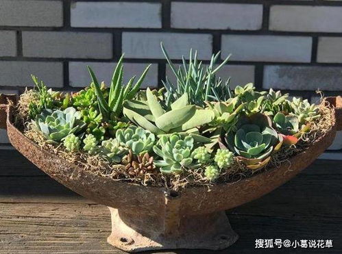 沙子，那可是个好东西