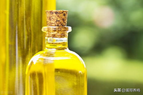 饲料用大豆油每吨多少钱？猪饲料中添加豆油有哪些具体作用？