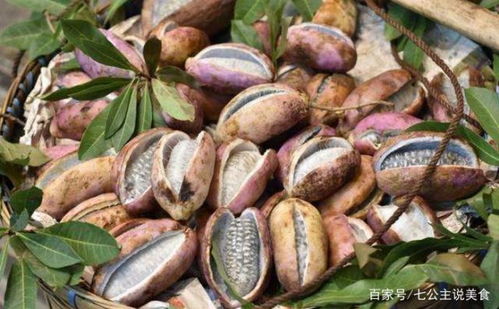 野香蕉皇家贡品，指古代中国进贡给皇帝的珍贵水果