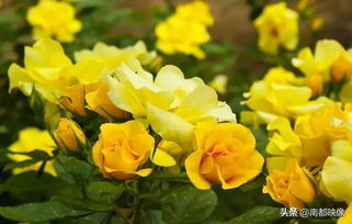 地理环境， 南北差异要考虑