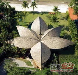 探寻神秘树叶：羽毛状叶子的树木之谜