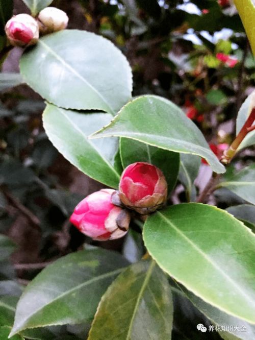 播种时间要选对