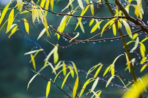 小心种植误区，不然白费劲