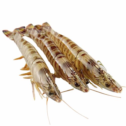 虾蟹和鱼的“特殊关系”