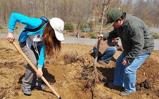 五、 特色观赏苗木，种植前景好