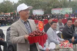 麦盖提县第三届红枣核桃王评选大赛