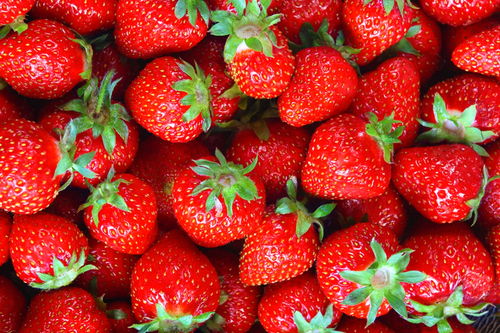 草莓多菌灵使用时如何正确配比浓度并注意哪些使用禁忌，以确保草莓安全无污染？