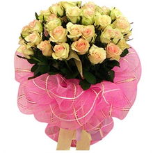 香槟愿望月季， 花儿里的许愿精灵