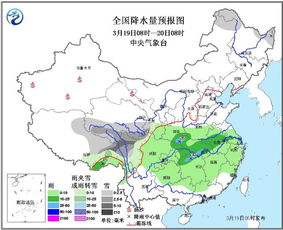 南方地区由于气候湿润,种植当归的时间多集中在秋季,即9月至11月