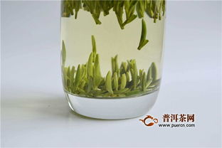 竹叶青是绿茶吗？它究竟属于哪一类茶