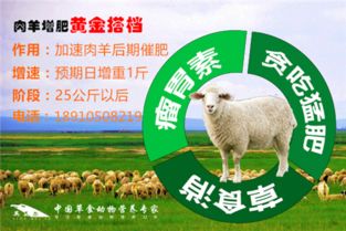 2026猪饲料育肥猪饲料配方中，玉米和豆粕的比例对猪的生长性能有何影响？