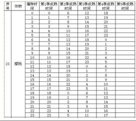 咖啡渣混椰糠：种植界的“黄金搭档”