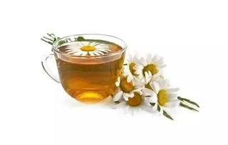 菊花茶隔夜还能喝吗？如何处理剩余的茶水
