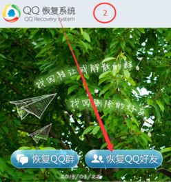 盆栽水垢如何清除？清理后能否恢复生机