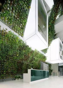 顶面绿化的奇妙世界