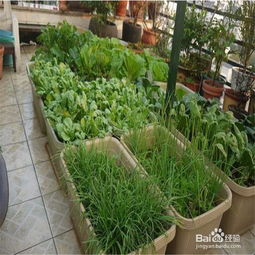 农药，是个啥玩意儿？