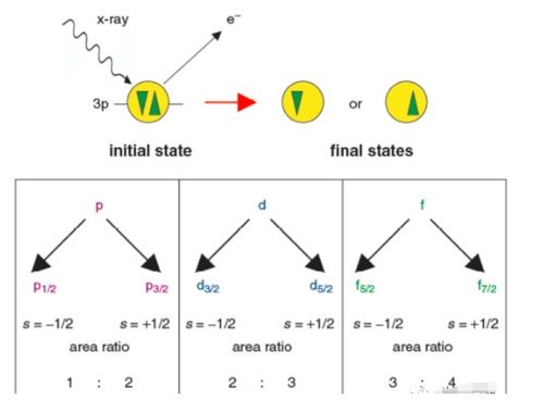 三代粘虫， 危害不容忽视