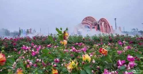 倒计时 紧张施工中