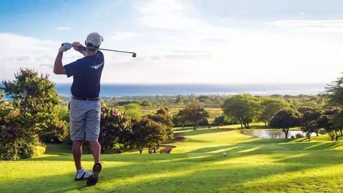 新手小白一分钟告诉你高尔夫游戏规则