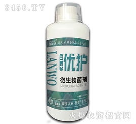 土壤板结：什么是为什么会出现？