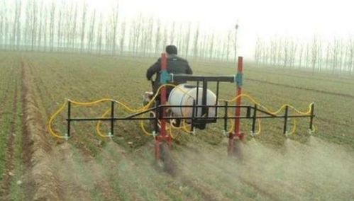 冬天养的花，剪了还Neng开吗？