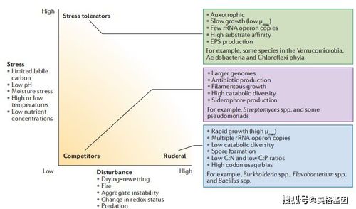 因地制宜与土壤选择