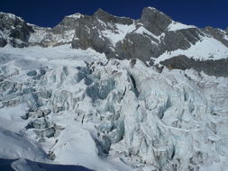 云南玉龙雪山花卉产业发展的优惠政策大揭秘