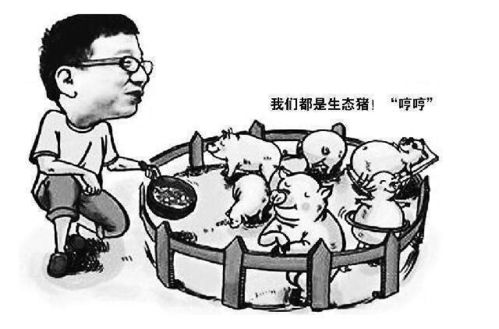 养猪产房管理有问题，为何不赚钱？