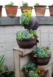 雨水收集法：让菜叶花草梗加水灵