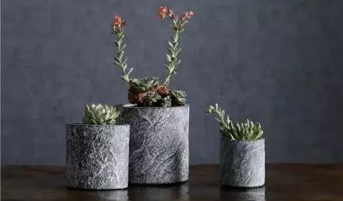 马齿苋种植前的准备工作