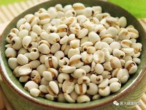 薏米种植成长篇：水分管理