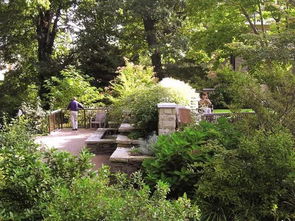 植物的色彩：自然的笔触