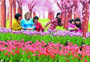春色盎然，花海竞艳