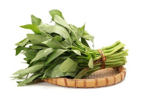 3. 空心菜：夏季绿叶蔬菜的佼佼者